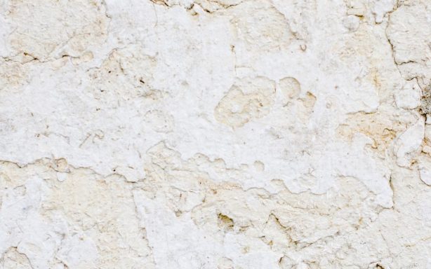 Weingut Franz Keller Weingut Franz Keller