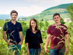 Prickelnder Sekt im Glas Prickelnder Sekt im Glas copyright: nicole Wolbers